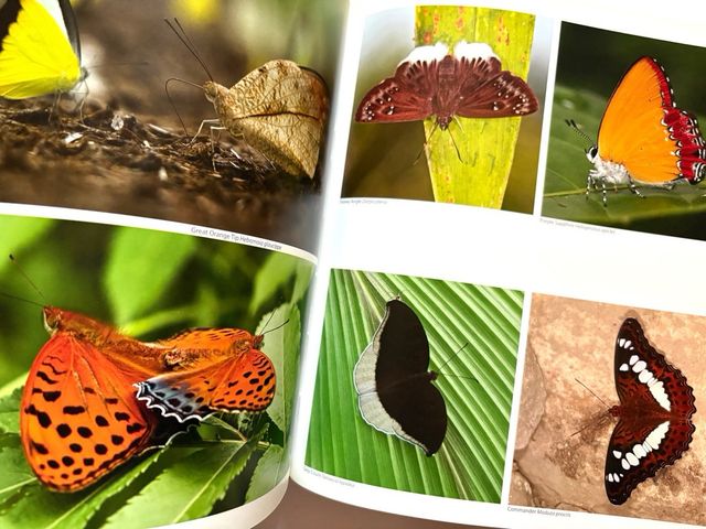 HIMALAYA mountains of life. KAMAL BAWA y Kadur