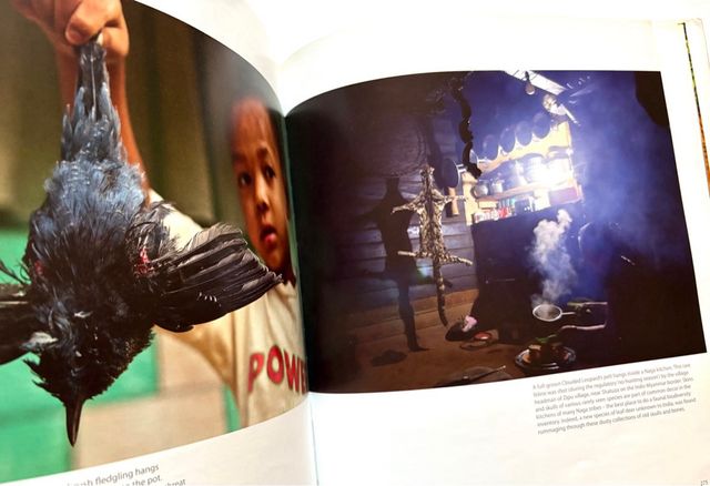 HIMALAYA mountains of life. KAMAL BAWA y Kadur