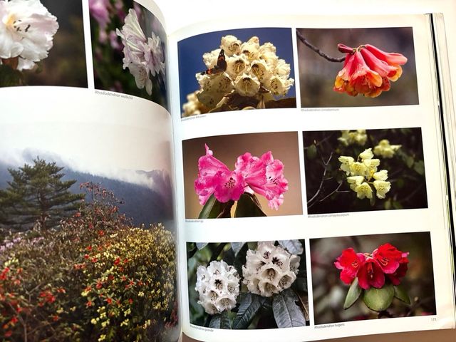 HIMALAYA mountains of life. KAMAL BAWA y Kadur