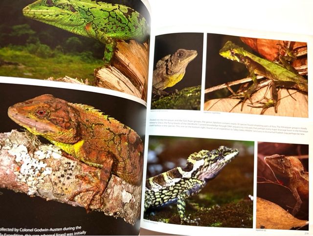 HIMALAYA mountains of life. KAMAL BAWA y Kadur