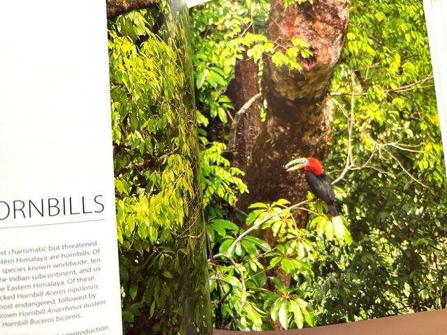 HIMALAYA mountains of life. KAMAL BAWA y Kadur