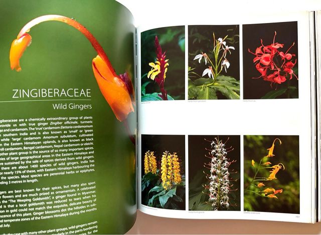 HIMALAYA mountains of life. KAMAL BAWA y Kadur