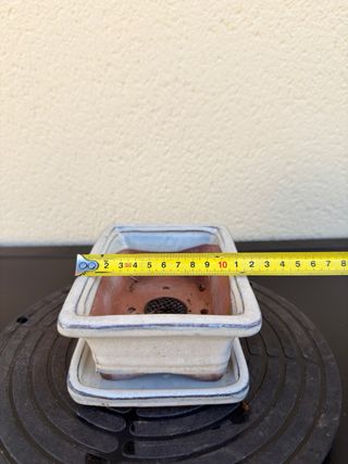 Maceta bonsai blanca de cerámica con plato