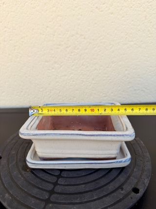Maceta bonsai blanca de cerámica con plato
