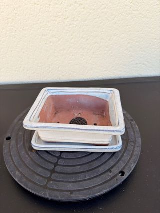 Maceta bonsai blanca de cerámica con plato