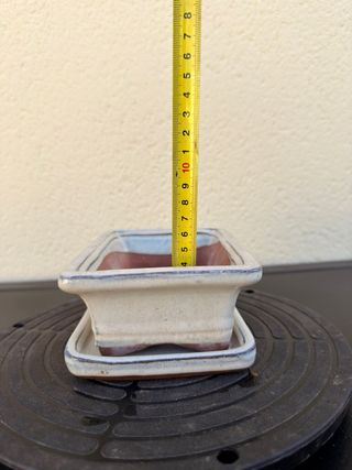 Maceta bonsai blanca de cerámica con plato