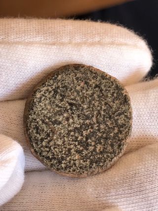 Semis Íbero Castulo (Linares, Jaén) + Regalo