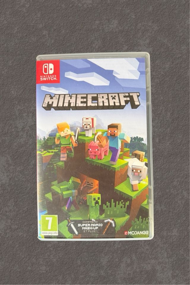 Minecraft Nintendo Switch