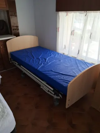 Cama ortopédica