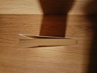 Sobre la voluntad en la naturaleza