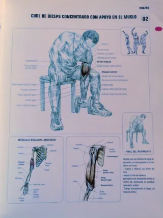 GUÍA DE LOS MOVIMIENTOS DE MUSCULACIÓN.