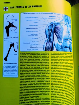 GUÍA DE LOS MOVIMIENTOS DE MUSCULACIÓN.