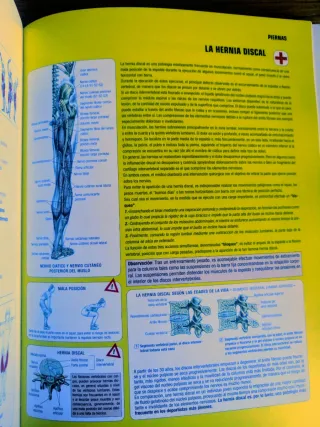 GUÍA DE LOS MOVIMIENTOS DE MUSCULACIÓN.