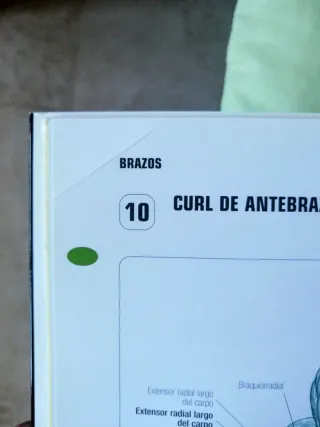 GUÍA DE LOS MOVIMIENTOS DE MUSCULACIÓN.