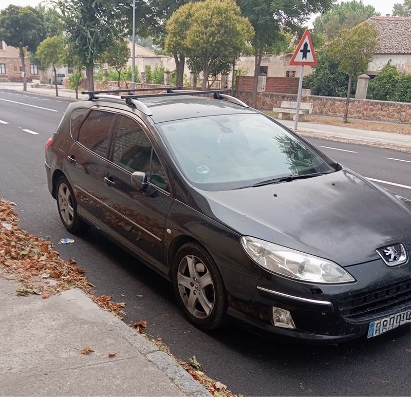 Peugeot 407 SW - foto 1