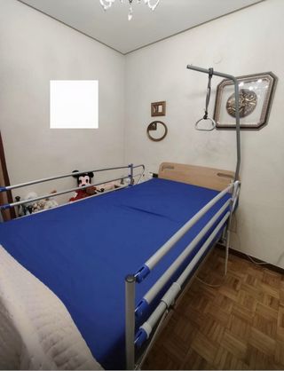 Cama articulada hospitalaria
