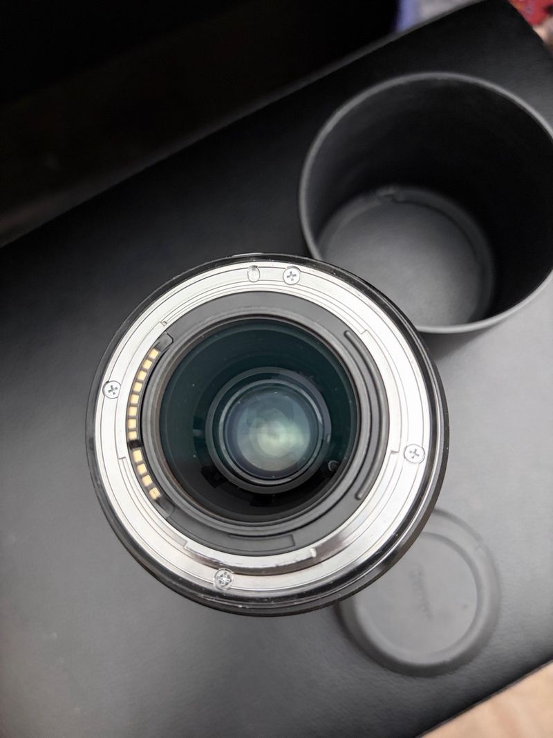 Canon RF 100mm F2.8L Macro IS USM afbeelding 4
