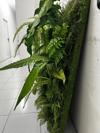 Cuadro vegetal decorativo