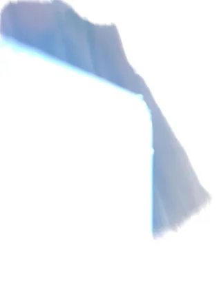 Chaleco de pelo elegante