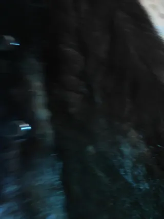 Chaleco de pelo elegante