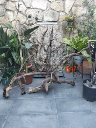 Troncos para acuario Madera raíz grande