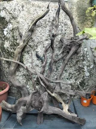 Troncos para acuario Madera raíz grande