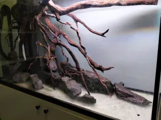Troncos para acuario Madera raíz grande