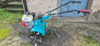 Motoazada Bertolini 209