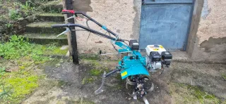 Motoazada Bertolini 209