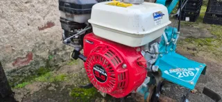 Motoazada Bertolini 209