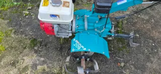 Motoazada Bertolini 209