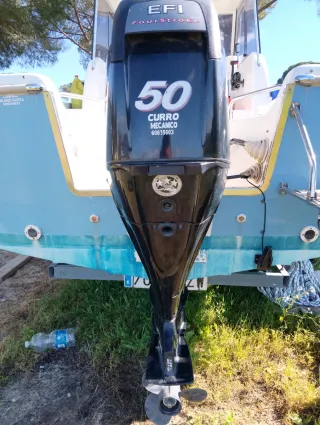 Motor fueraborda Mercury 50cv