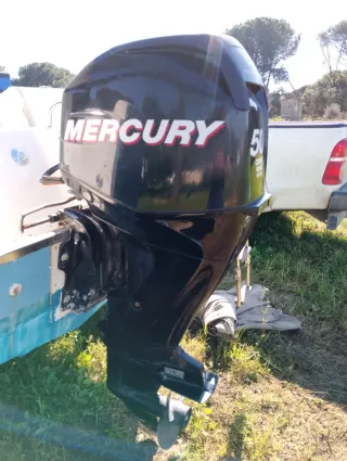 Motor fueraborda Mercury 50cv