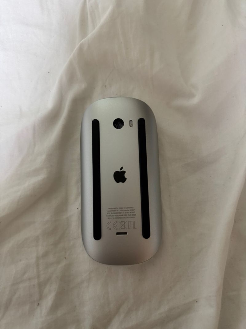 Magic Mouse 2 Apple Plata