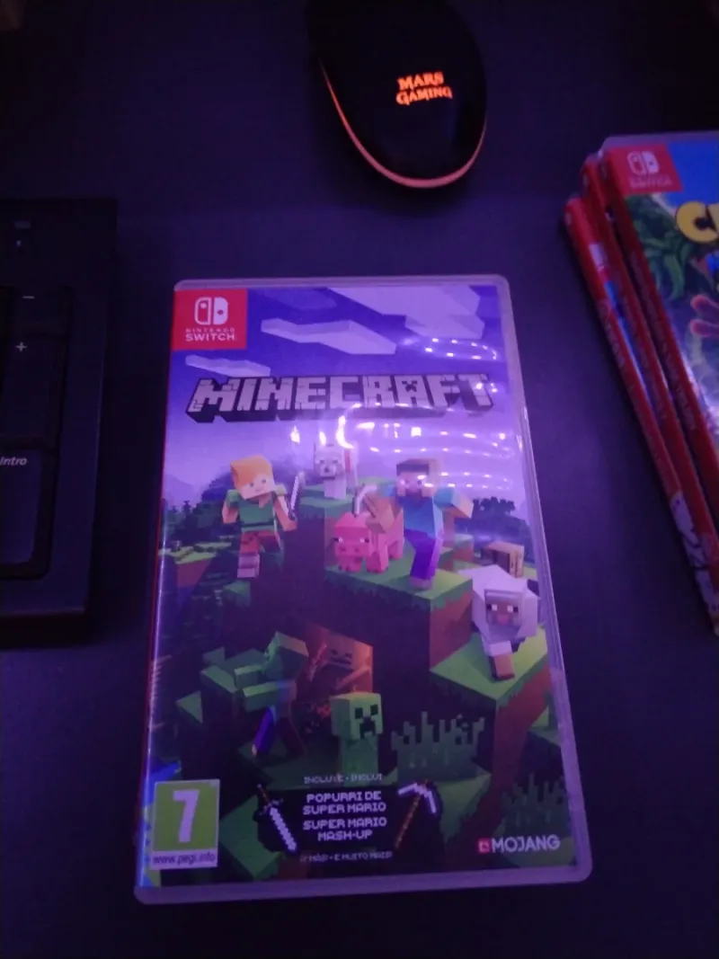 Minecraft Nintendo Switch