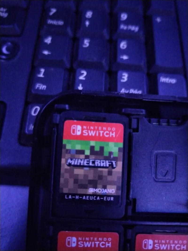 Minecraft Nintendo Switch afbeelding 2