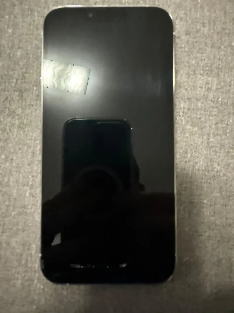 iPhone 13 Pro Plata afbeelding 5