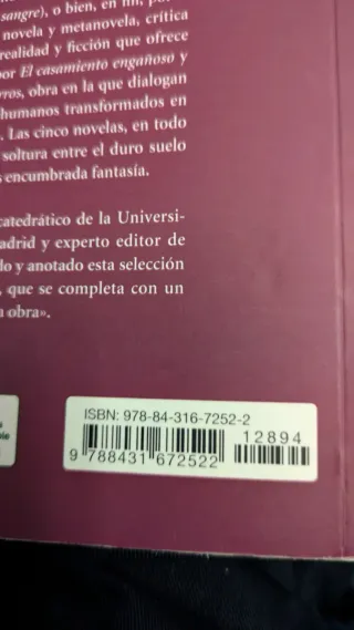 Novelas Ejemplares (Spanish Edition)