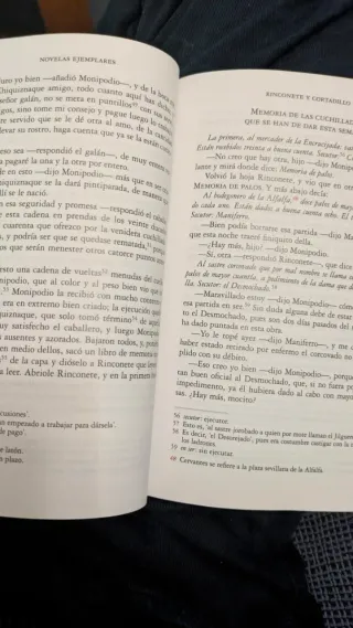 Novelas Ejemplares (Spanish Edition)