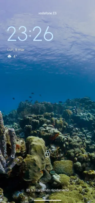 Jardinería en general y podas en altura