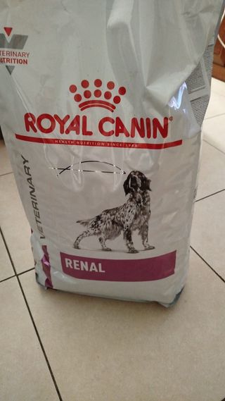 Taza McDonald's McCafé Muñeco Nieve y pienso renal