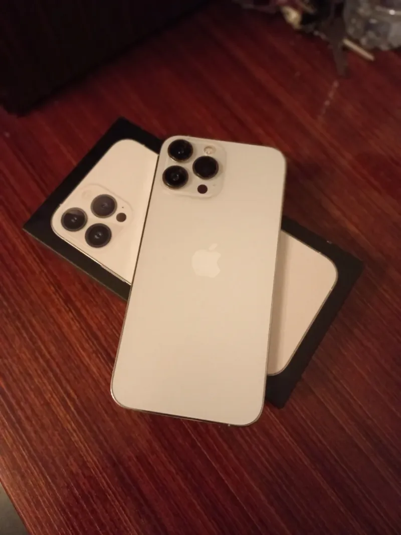 iPhone 13 Pro Max Negro/Plateado afbeelding 3