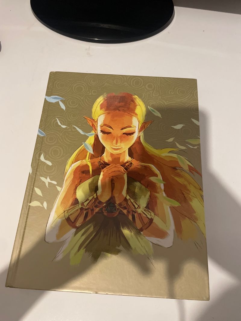 Libro Zelda Nintendo