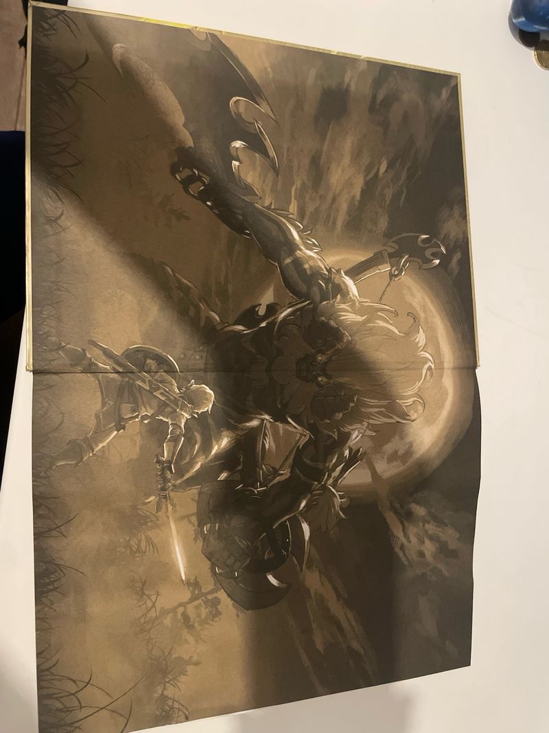 Libro Zelda Nintendo afbeelding 2