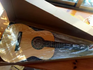 Guitarra Española Clásica Modelo Rocío N°20