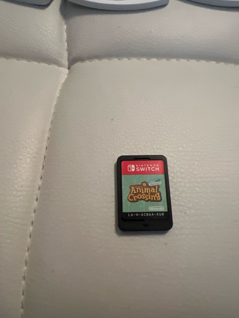 Animal Crossing: New Horizons Nintendo Switch