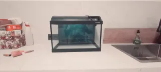 Acuario Waterhome Negro y Transparente