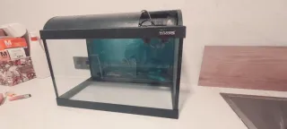 Acuario Waterhome Negro y Transparente