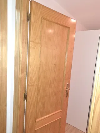 Conjunto 7 puertas madera interior.