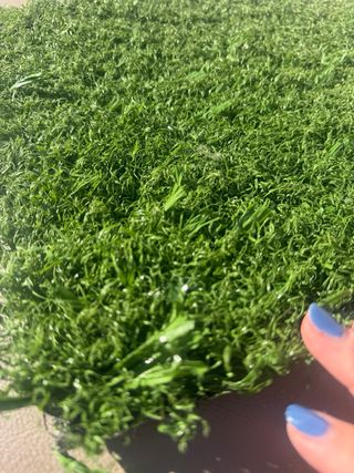 Erba Artificiale Verde